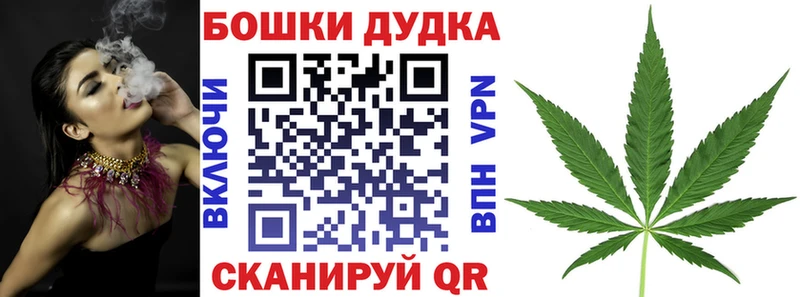 Где купить наркотики Новоалтайск Каннабис  Кокаин  kraken   ГАШ 