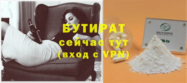 хмурый Аркадак