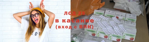 ПСИЛОЦИБИНОВЫЕ ГРИБЫ Арсеньев