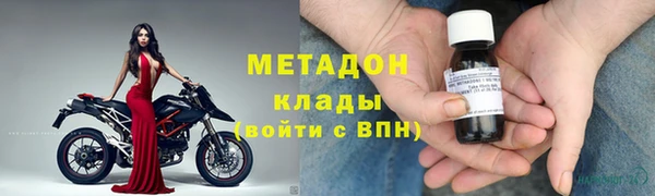 хмурый Аркадак