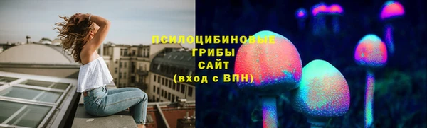 ПСИЛОЦИБИНОВЫЕ ГРИБЫ Арсеньев