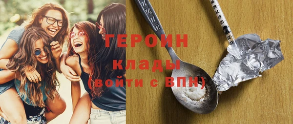 хмурый Аркадак