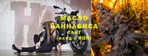 хмурый Аркадак