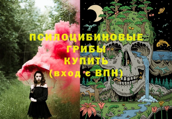 СК Балахна