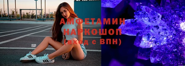 хмурый Аркадак
